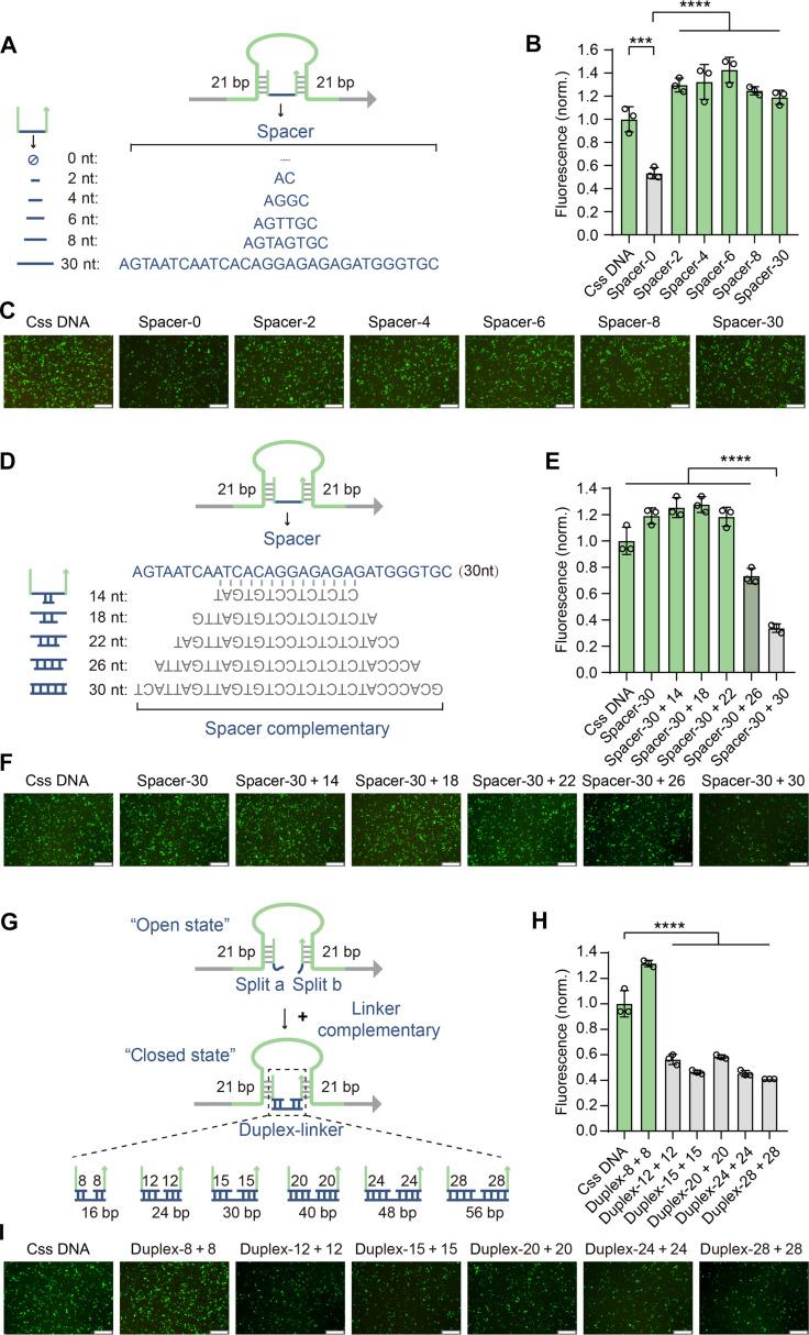 https://cdn.ncbi.nlm.nih.gov/pmc/blobs/981d/12083533/7df008a794de/sciadv.adv3396-f2.jpg