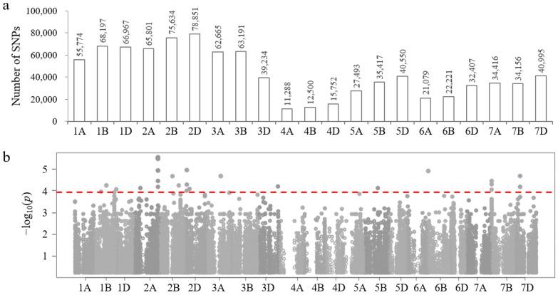 https://cdn.ncbi.nlm.nih.gov/pmc/blobs/981e/11435117/31088488fc89/plants-13-02642-g003.jpg