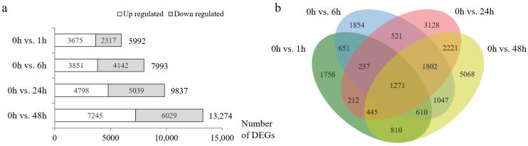 https://cdn.ncbi.nlm.nih.gov/pmc/blobs/981e/11435117/62fceca12d6e/plants-13-02642-g001.jpg