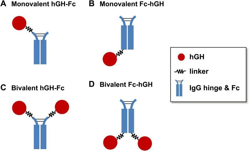 https://cdn.ncbi.nlm.nih.gov/pmc/blobs/981e/12080763/41cd1891cce7/pone.0323791.g001.jpg