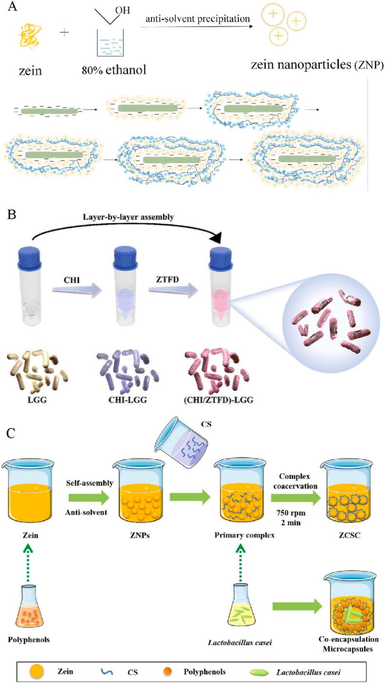 https://cdn.ncbi.nlm.nih.gov/pmc/blobs/981e/12281137/6b7576bfaca8/gr3.jpg