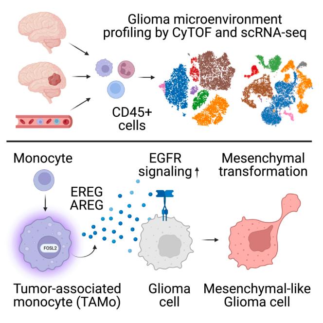 https://cdn.ncbi.nlm.nih.gov/pmc/blobs/9821/10518634/80c88eb053ce/fx1.jpg
