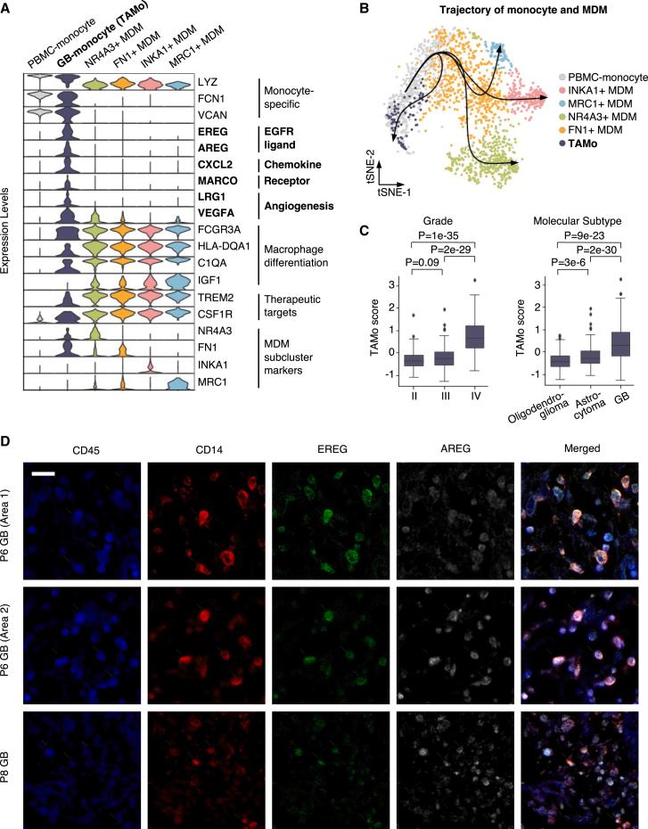 https://cdn.ncbi.nlm.nih.gov/pmc/blobs/9821/10518634/8737a9940018/gr2.jpg