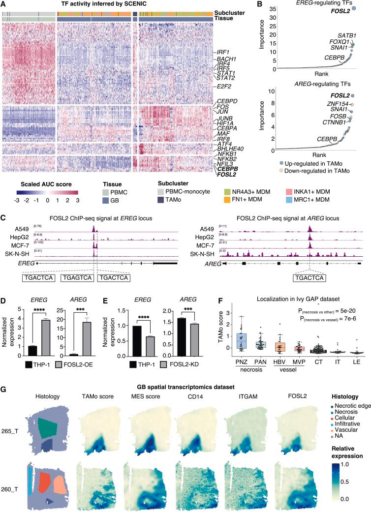 https://cdn.ncbi.nlm.nih.gov/pmc/blobs/9821/10518634/d6ae576b969f/gr5.jpg