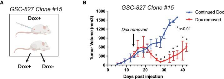 https://cdn.ncbi.nlm.nih.gov/pmc/blobs/9822/11106029/d5d37a084f79/zcae021fig5.jpg