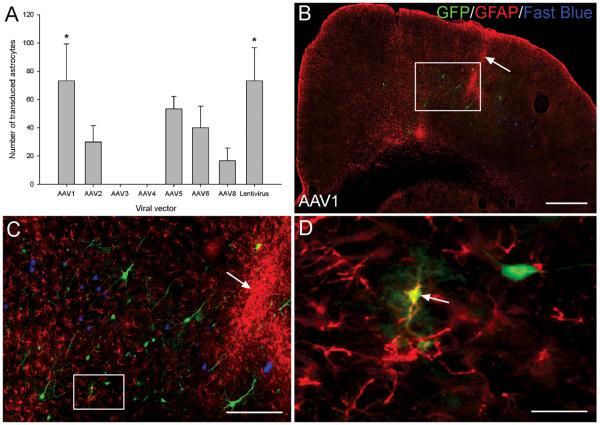 https://cdn.ncbi.nlm.nih.gov/pmc/blobs/9822/3160493/57376bfdc142/ukmss-34441-f0007.jpg