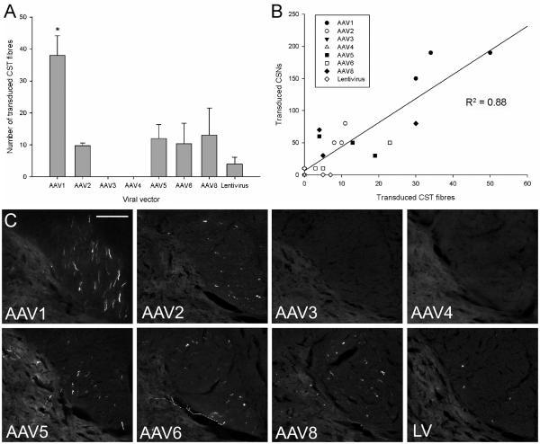 https://cdn.ncbi.nlm.nih.gov/pmc/blobs/9822/3160493/a37d095148a1/ukmss-34441-f0005.jpg