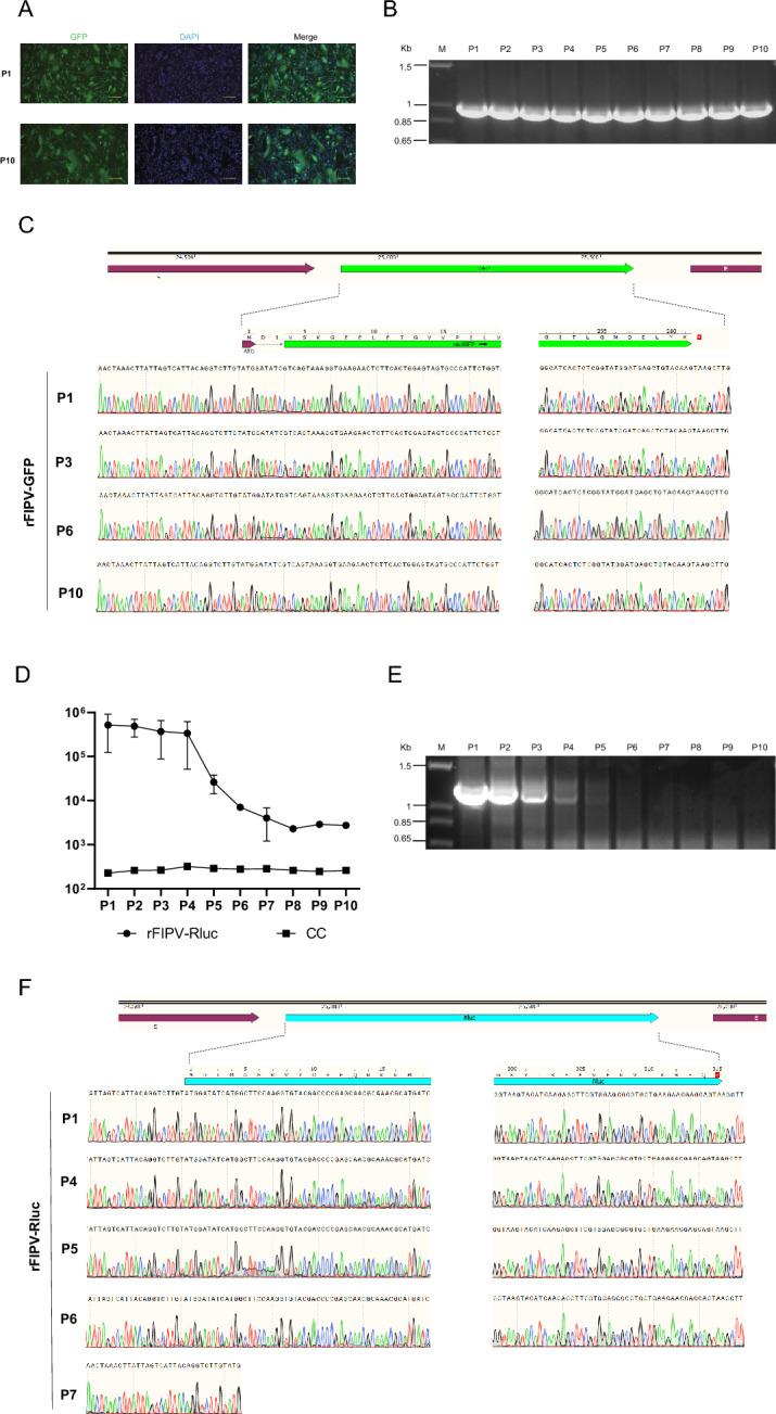 https://cdn.ncbi.nlm.nih.gov/pmc/blobs/9823/11438400/45bf5349dca1/13567_2024_1373_Fig2_HTML.jpg