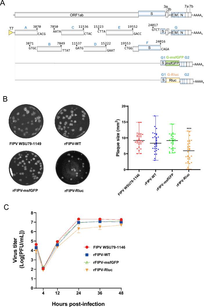 https://cdn.ncbi.nlm.nih.gov/pmc/blobs/9823/11438400/f24281787031/13567_2024_1373_Fig1_HTML.jpg