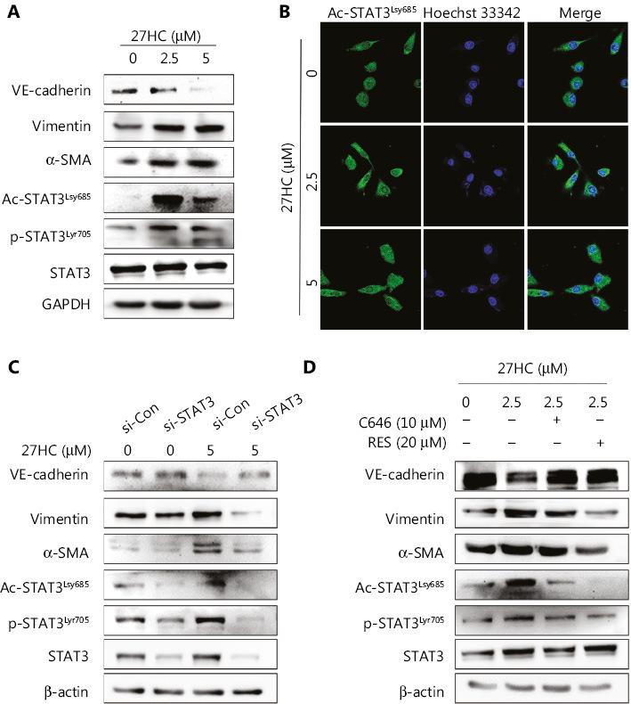 https://cdn.ncbi.nlm.nih.gov/pmc/blobs/9825/7142833/7d14d8c2a394/cbm-17-088-g005.jpg