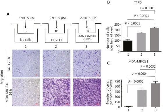 https://cdn.ncbi.nlm.nih.gov/pmc/blobs/9825/7142833/8947742e2198/cbm-17-088-g003.jpg