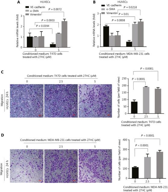 https://cdn.ncbi.nlm.nih.gov/pmc/blobs/9825/7142833/9bac64c987d1/cbm-17-088-g004.jpg