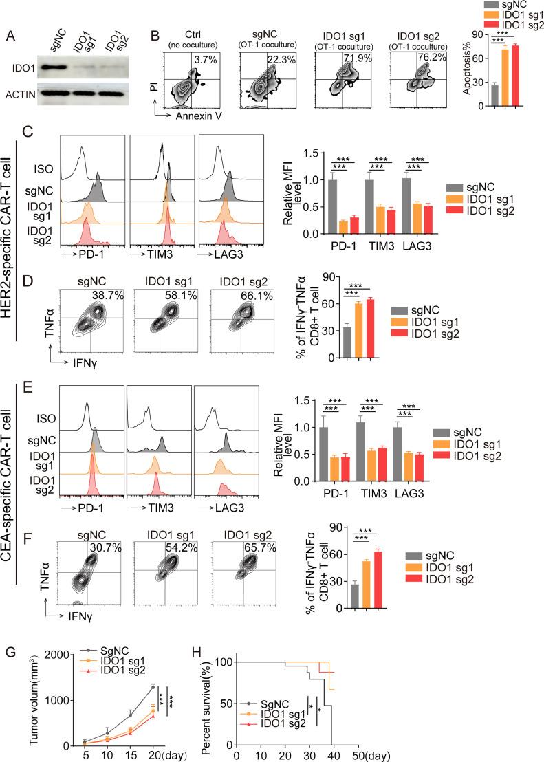 https://cdn.ncbi.nlm.nih.gov/pmc/blobs/9826/10862068/350cd1cfffbc/gr3.jpg