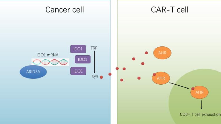 https://cdn.ncbi.nlm.nih.gov/pmc/blobs/9826/10862068/ead7781cb7ca/gr7.jpg