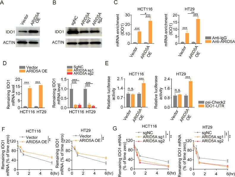 https://cdn.ncbi.nlm.nih.gov/pmc/blobs/9826/10862068/ef0adf276cfc/gr2.jpg