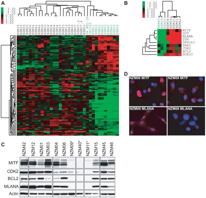 https://cdn.ncbi.nlm.nih.gov/pmc/blobs/9826/2794539/196f9f098e37/pone.0008461.g001.jpg