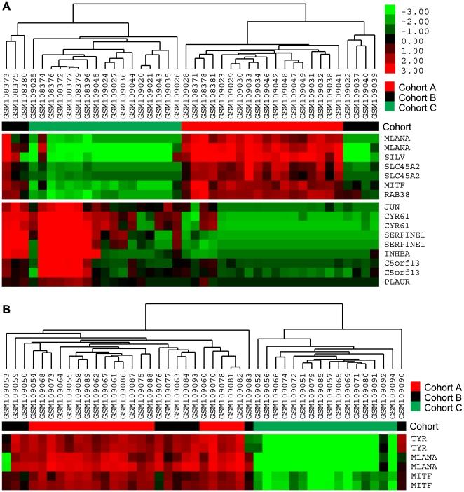 https://cdn.ncbi.nlm.nih.gov/pmc/blobs/9826/2794539/cd8d4f1420c0/pone.0008461.g003.jpg