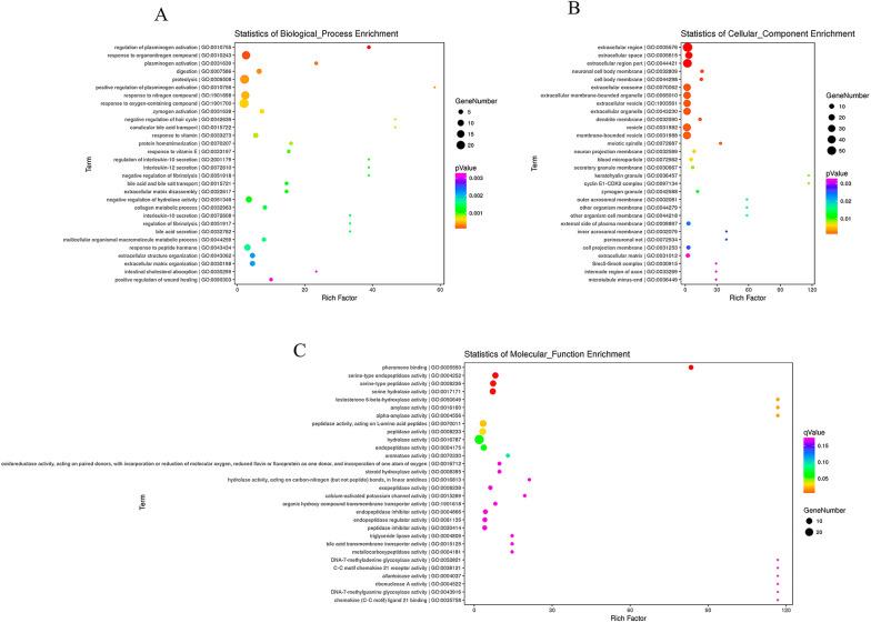 https://cdn.ncbi.nlm.nih.gov/pmc/blobs/9827/10823636/b11bb506af0a/40001_2024_1663_Fig4_HTML.jpg