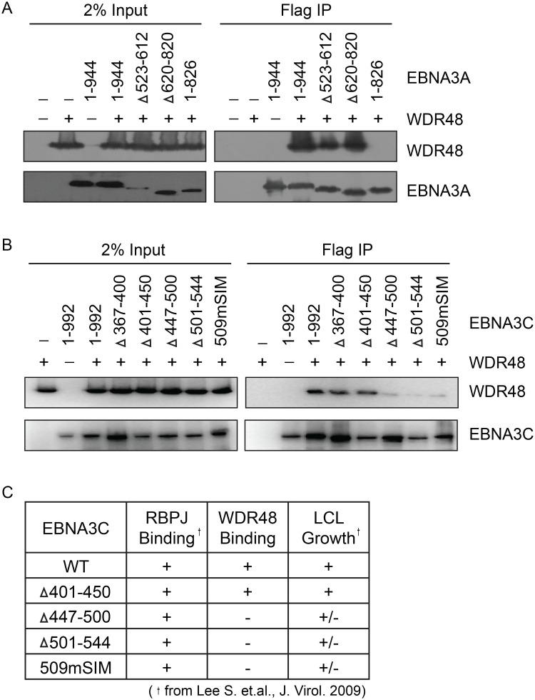https://cdn.ncbi.nlm.nih.gov/pmc/blobs/9827/4391933/1bd9ddd3b749/ppat.1004822.g006.jpg
