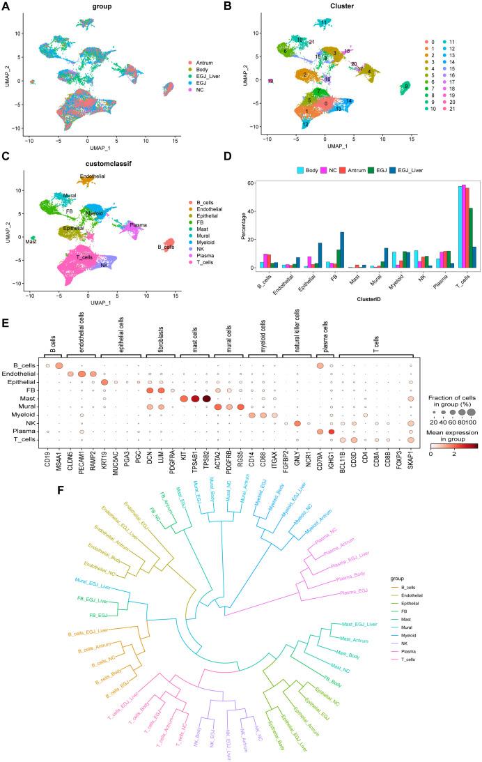 https://cdn.ncbi.nlm.nih.gov/pmc/blobs/9828/11754270/781753e39673/fimmu-15-1484234-g002.jpg