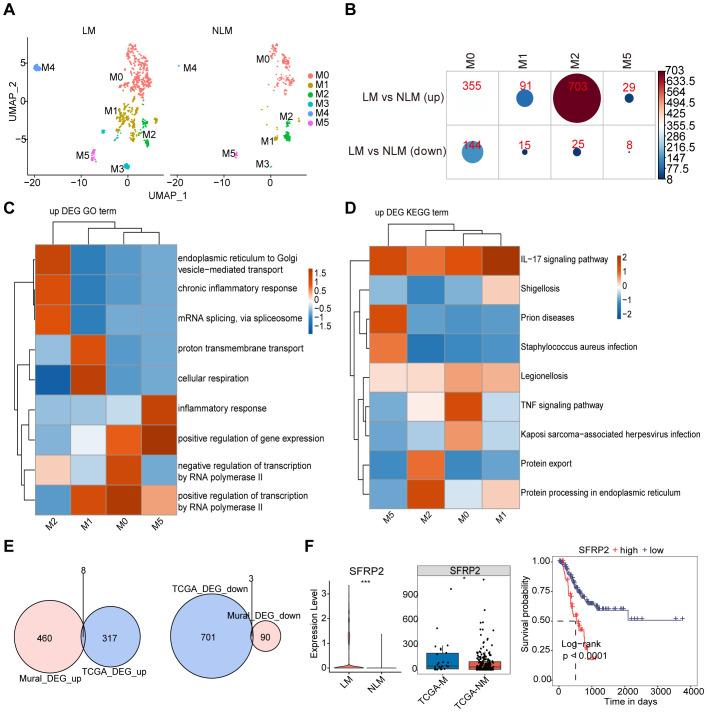 https://cdn.ncbi.nlm.nih.gov/pmc/blobs/9828/11754270/88a18bfe5bf9/fimmu-15-1484234-g009.jpg