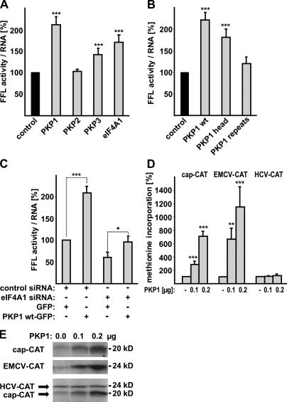 https://cdn.ncbi.nlm.nih.gov/pmc/blobs/982a/2828926/e34201ecac48/JCB_200908135_GS_Fig4.jpg