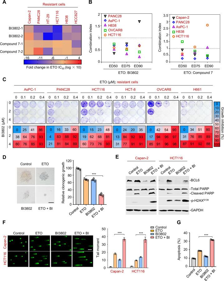 https://cdn.ncbi.nlm.nih.gov/pmc/blobs/982a/9064299/0a0c672b1f04/elife-69255-fig6.jpg