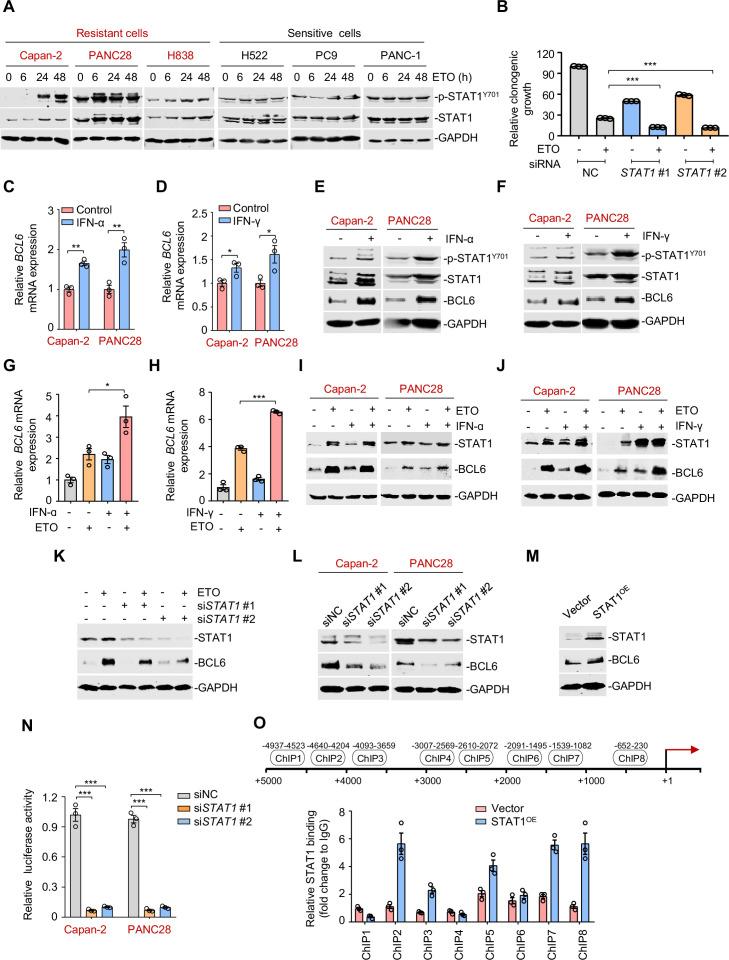 https://cdn.ncbi.nlm.nih.gov/pmc/blobs/982a/9064299/5ec384bafa4c/elife-69255-fig4.jpg