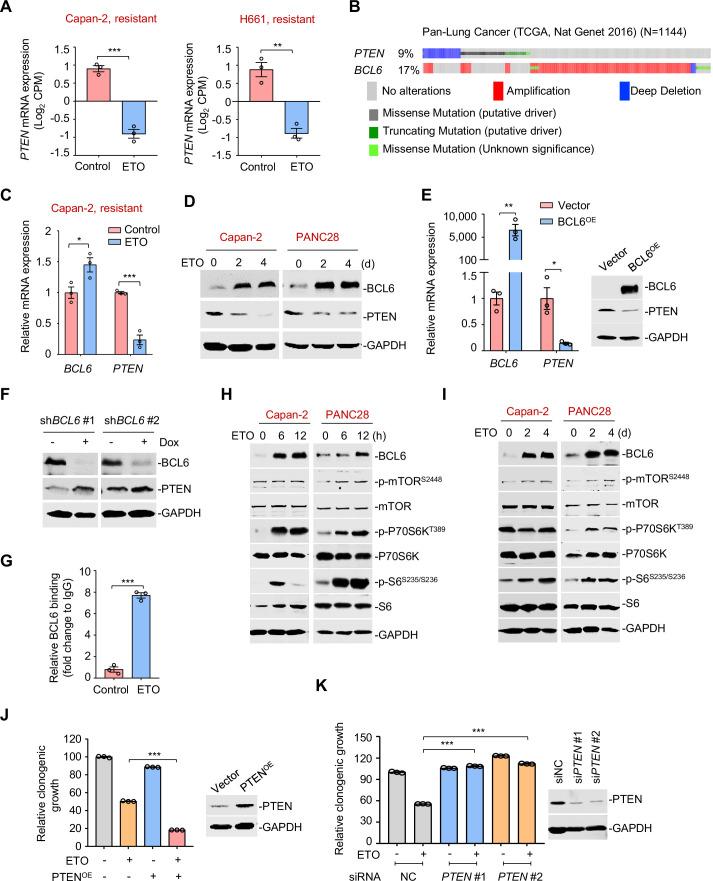 https://cdn.ncbi.nlm.nih.gov/pmc/blobs/982a/9064299/962ababf70e1/elife-69255-fig5.jpg