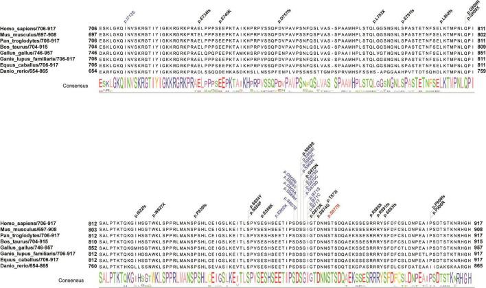 https://cdn.ncbi.nlm.nih.gov/pmc/blobs/982a/9490002/56fe6e46d3ca/fnins-16-980000-g002.jpg