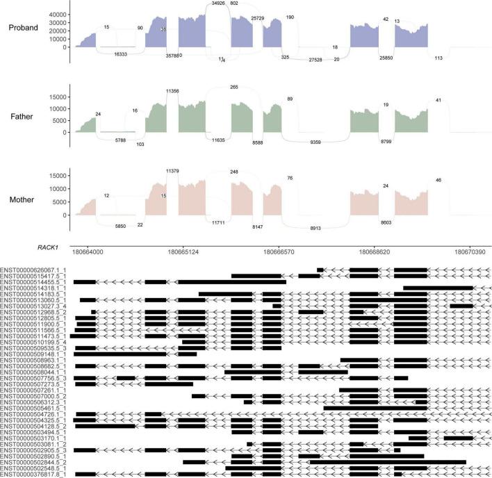 https://cdn.ncbi.nlm.nih.gov/pmc/blobs/982a/9490002/79971f2a0764/fnins-16-980000-g003.jpg