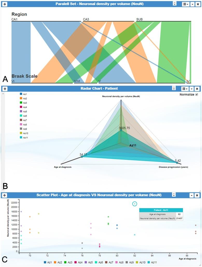 https://cdn.ncbi.nlm.nih.gov/pmc/blobs/9830/6421977/1729bc4c2d9c/fnana-13-00028-g0003.jpg