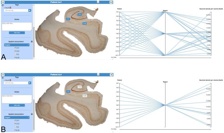 https://cdn.ncbi.nlm.nih.gov/pmc/blobs/9830/6421977/59bb15ccd401/fnana-13-00028-g0005.jpg