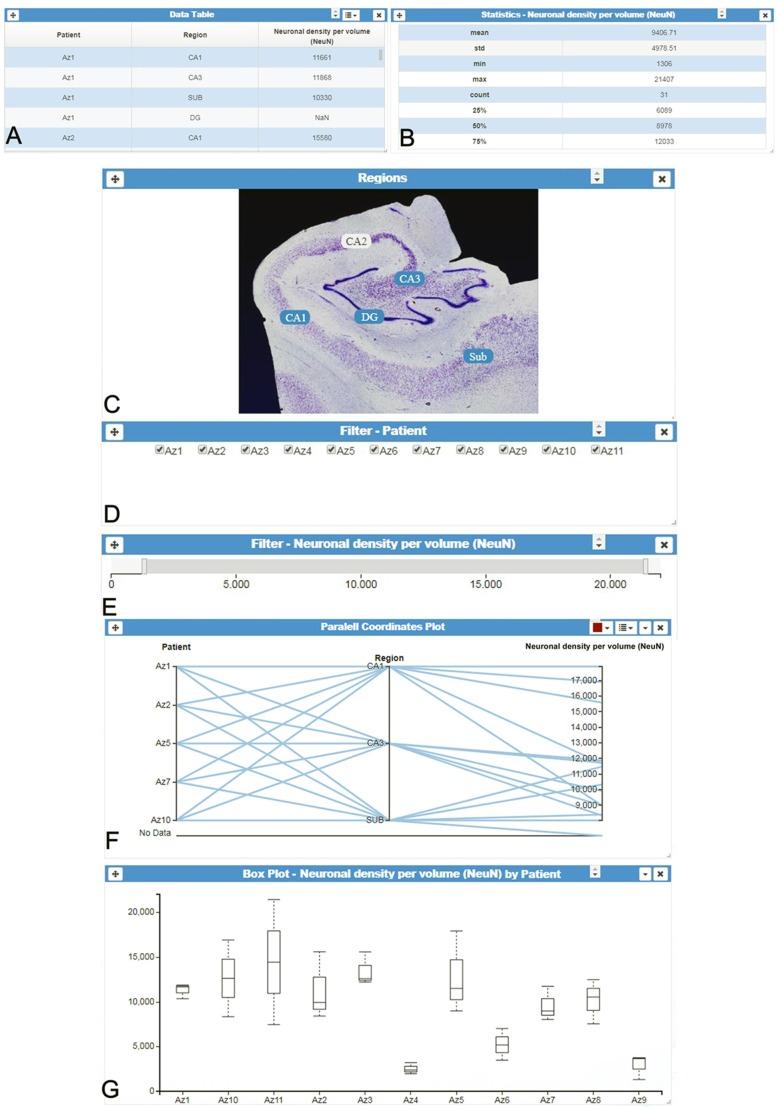 https://cdn.ncbi.nlm.nih.gov/pmc/blobs/9830/6421977/e89d203b523d/fnana-13-00028-g0001.jpg