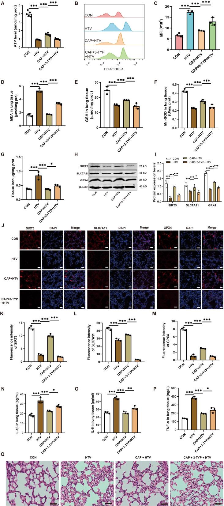 https://cdn.ncbi.nlm.nih.gov/pmc/blobs/9833/11391744/054996023277/10020_2024_910_Fig3_HTML.jpg