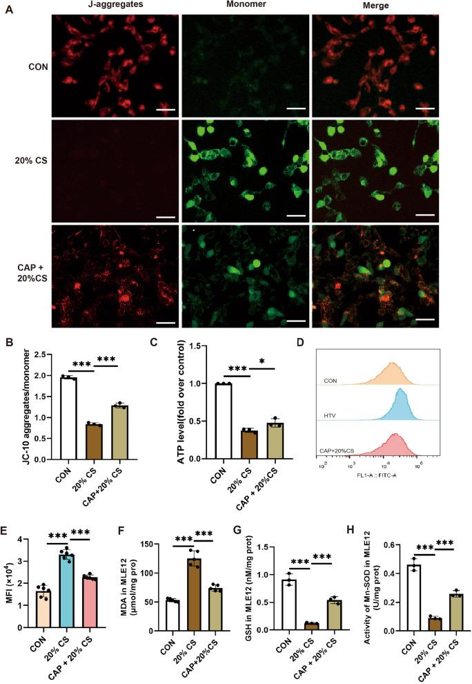 https://cdn.ncbi.nlm.nih.gov/pmc/blobs/9833/11391744/36229145e02e/10020_2024_910_Fig6_HTML.jpg