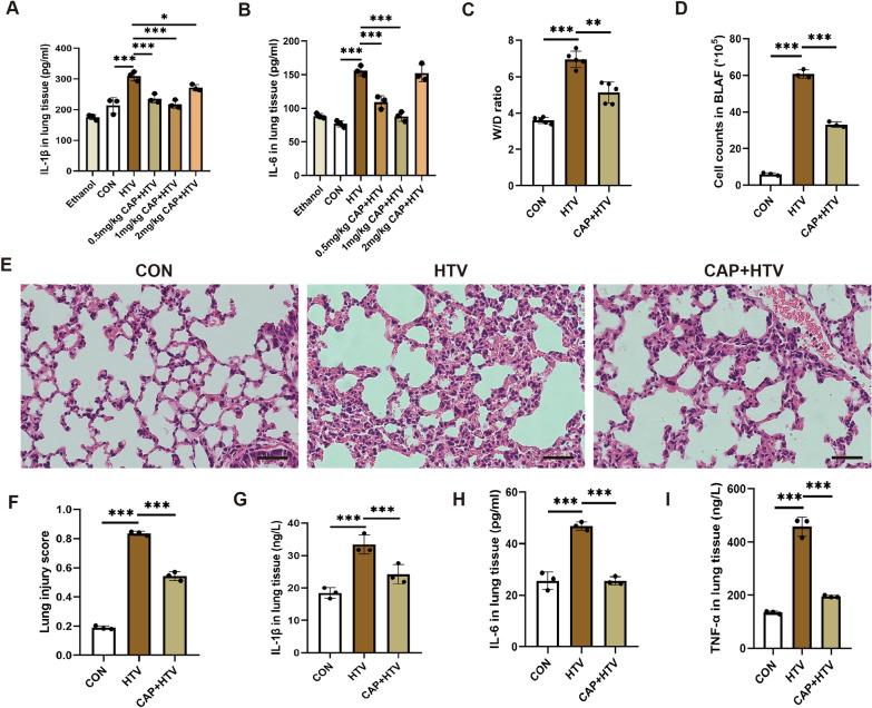 https://cdn.ncbi.nlm.nih.gov/pmc/blobs/9833/11391744/5cee469305f6/10020_2024_910_Fig1_HTML.jpg