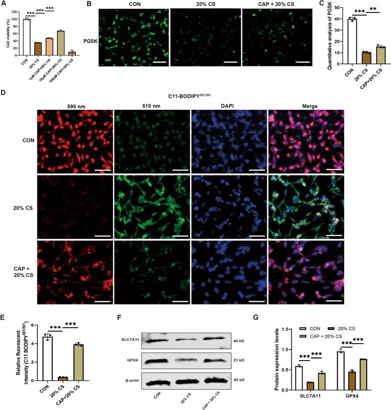 https://cdn.ncbi.nlm.nih.gov/pmc/blobs/9833/11391744/c3cfe35552aa/10020_2024_910_Fig5_HTML.jpg