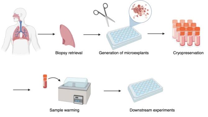 https://cdn.ncbi.nlm.nih.gov/pmc/blobs/9834/12082924/7660938b08db/12931_2025_3265_Fig2_HTML.jpg