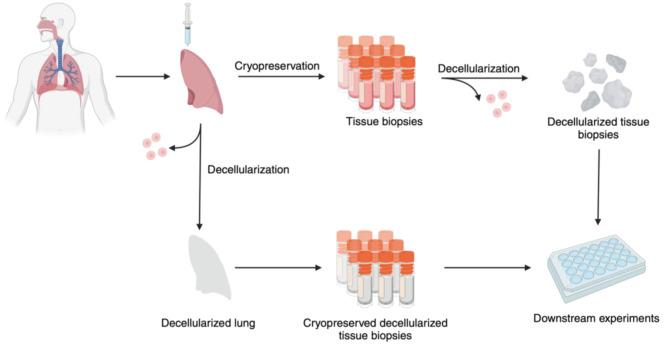 https://cdn.ncbi.nlm.nih.gov/pmc/blobs/9834/12082924/98dcfe05213d/12931_2025_3265_Fig3_HTML.jpg