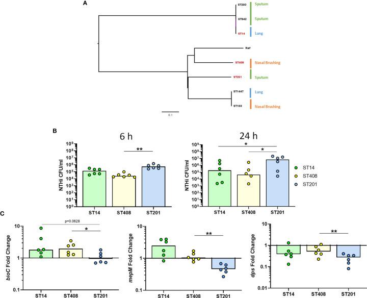 https://cdn.ncbi.nlm.nih.gov/pmc/blobs/9834/8419319/938b4e0d519a/fcimb-11-723481-g008.jpg