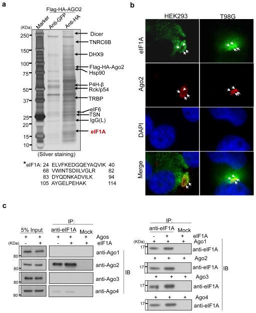 https://cdn.ncbi.nlm.nih.gov/pmc/blobs/9836/4448125/fe60f32d0eea/nihms681925f1.jpg
