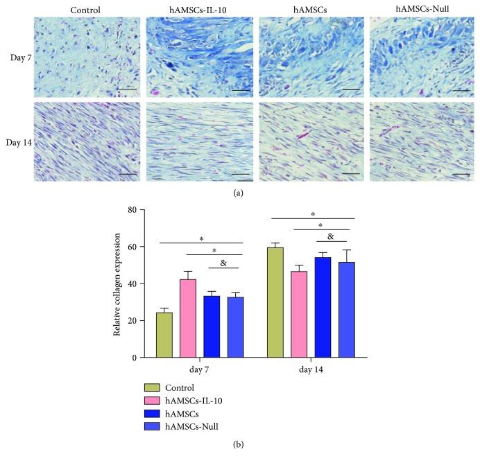 https://cdn.ncbi.nlm.nih.gov/pmc/blobs/9836/6594256/29c8607d3048/SCI2019-9158016.008.jpg