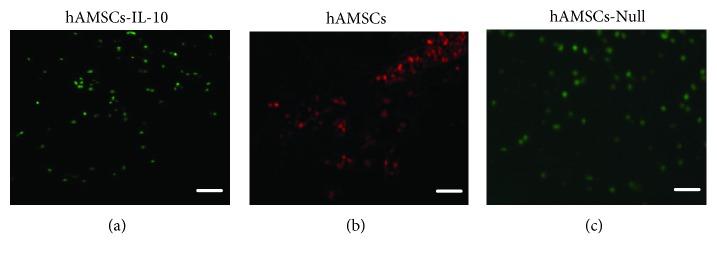 https://cdn.ncbi.nlm.nih.gov/pmc/blobs/9836/6594256/73ebe5138a64/SCI2019-9158016.010.jpg
