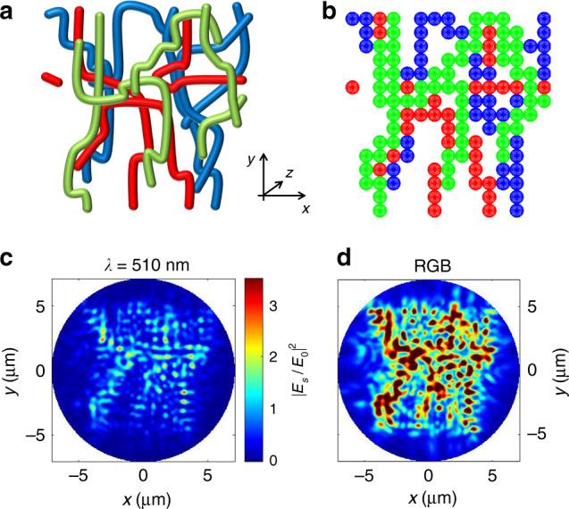 https://cdn.ncbi.nlm.nih.gov/pmc/blobs/9836/7688929/47b94886bb94/41467_2020_19676_Fig3_HTML.jpg