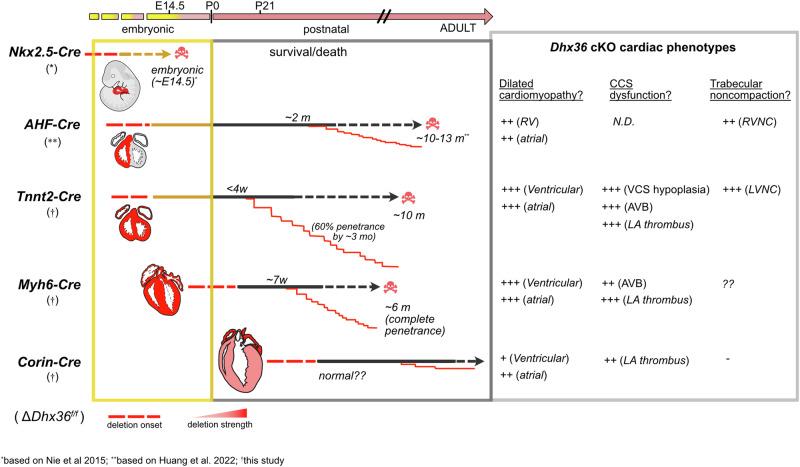 https://cdn.ncbi.nlm.nih.gov/pmc/blobs/983b/11452623/be0069987c0b/41467_2024_52809_Fig10_HTML.jpg