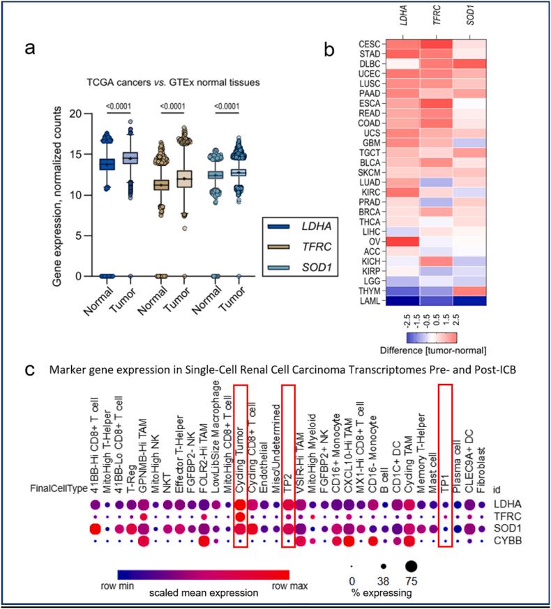 https://cdn.ncbi.nlm.nih.gov/pmc/blobs/983c/12281059/1444eac8cc8a/gr2.jpg