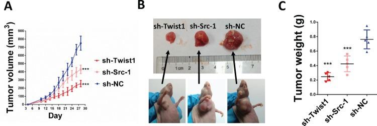 https://cdn.ncbi.nlm.nih.gov/pmc/blobs/983c/6459498/59a5e3775e4f/pone.0215299.g005.jpg