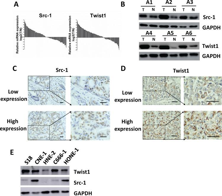 https://cdn.ncbi.nlm.nih.gov/pmc/blobs/983c/6459498/a1d97f861b4d/pone.0215299.g001.jpg