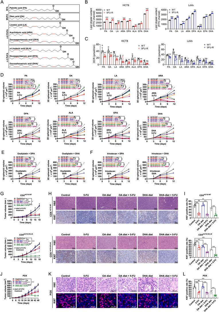 https://cdn.ncbi.nlm.nih.gov/pmc/blobs/983d/11152977/0bf76d3f9545/gr2.jpg